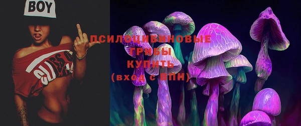 бошки Покровск