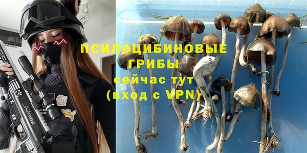 кокс Пересвет