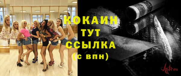 стаф Осташков