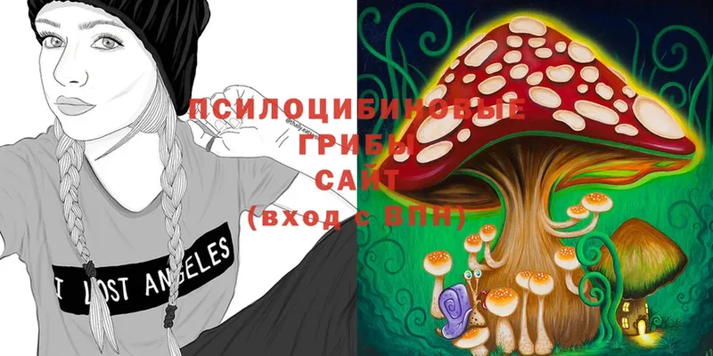 Псилоцибиновые грибы Magic Shrooms  Нефтекумск 