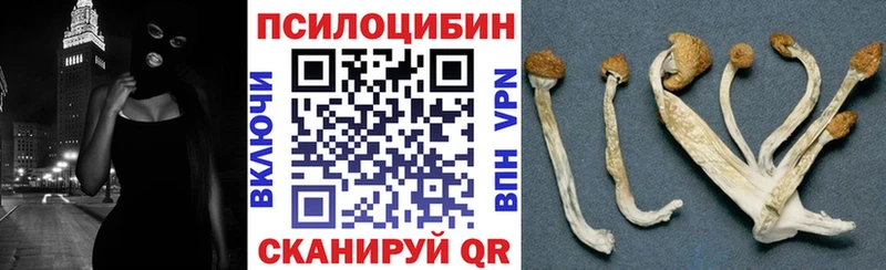 где можно купить наркотик  Нефтекумск  Галлюциногенные грибы GOLDEN TEACHER 